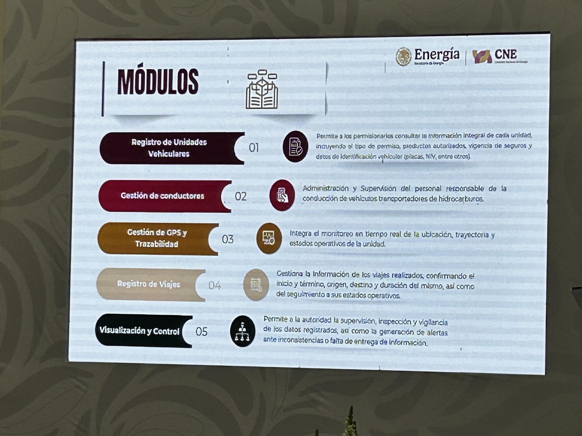 Sistema de Registro, Administración y Control a Permisionarios